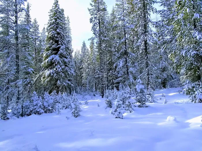 Langohr Campground Picture 4