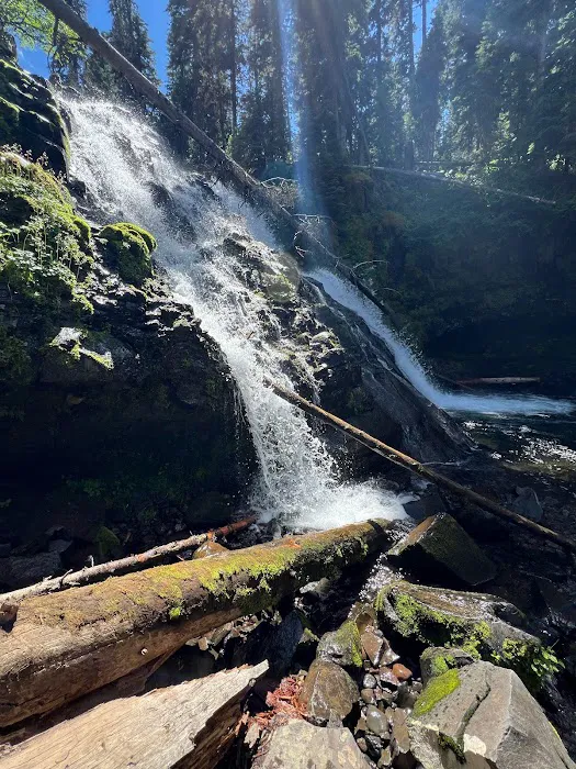 Hood Creek Campground Picture 2