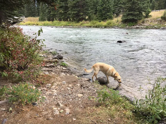 Red Cliff Campground Picture 8