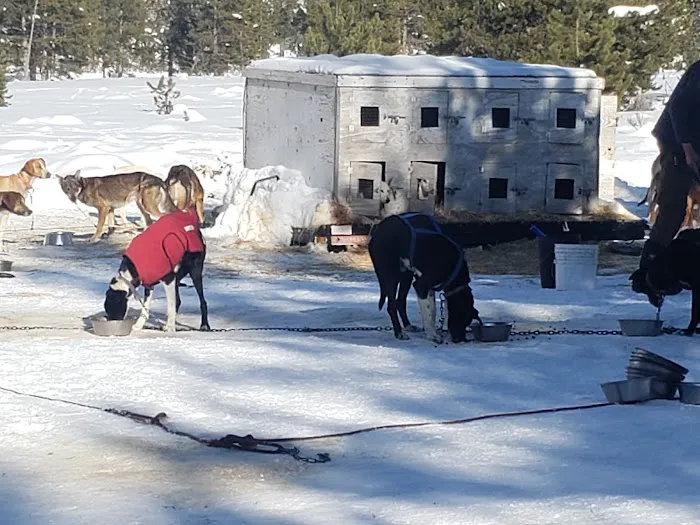 Taylor Fork Road Picture 1