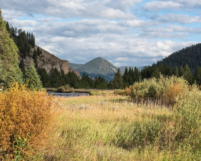 Taylor Fork Road Picture 5