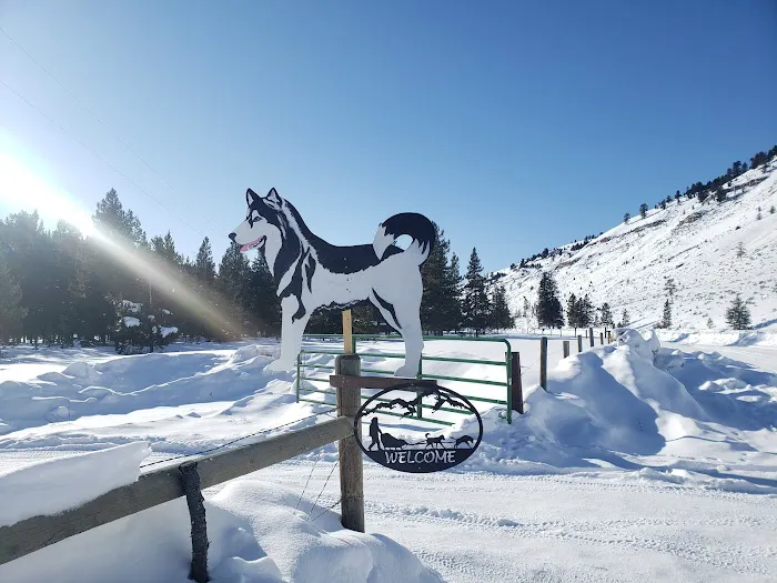 Taylor Fork Road Picture 2