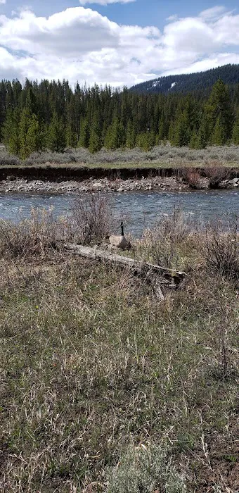 Taylor Fork Road Picture 10