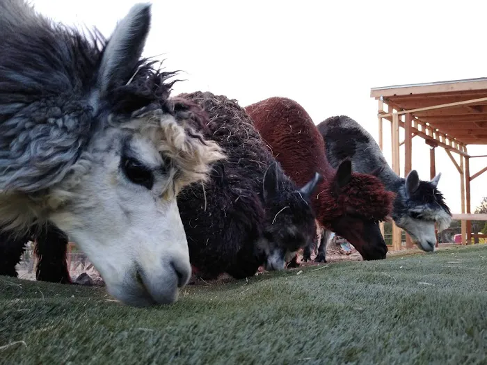 Synchronicity Agroforestry Center Picture 3