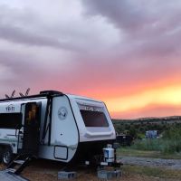 Synchronicity Agroforestry Center ico