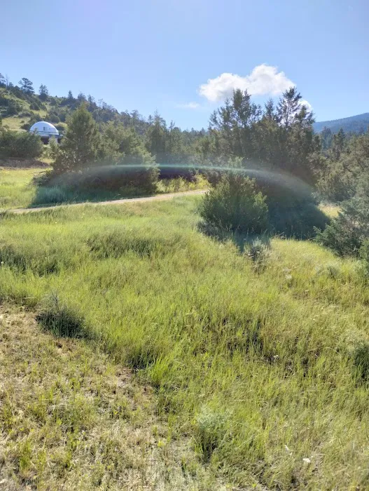 Synchronicity Agroforestry Center Picture 7