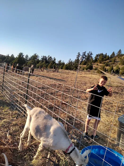 Synchronicity Agroforestry Center Picture 4