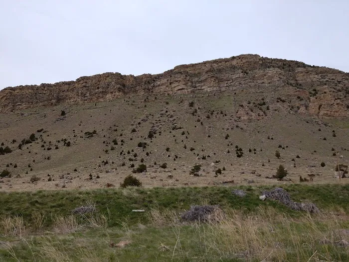 Toston Dam Campground Picture 9