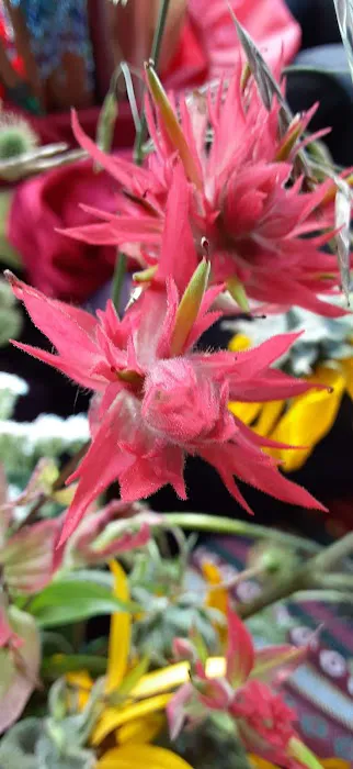 Skidway Campground Picture 4