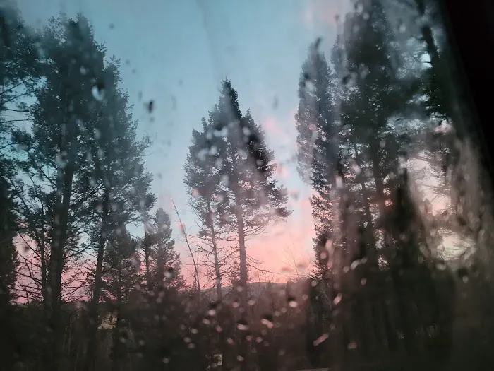 Skidway Campground Picture 6