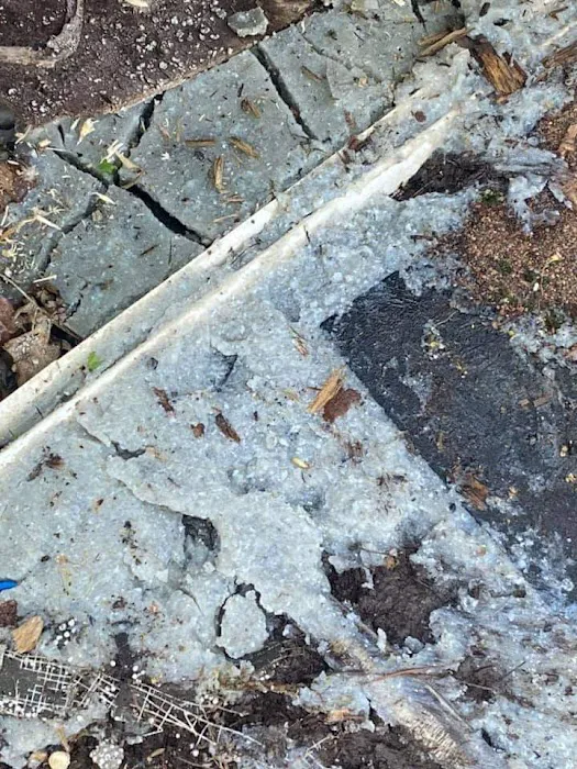 Woodbury Co Picture 1