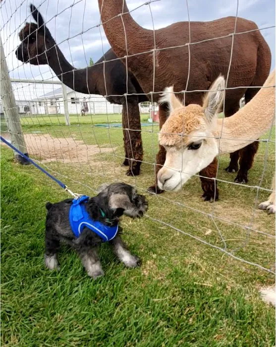 Wallowa Lake State Park - E loop Picture 1