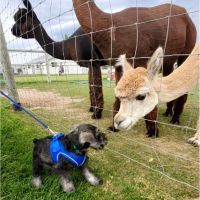 Wallowa Lake State Park - E loop ico