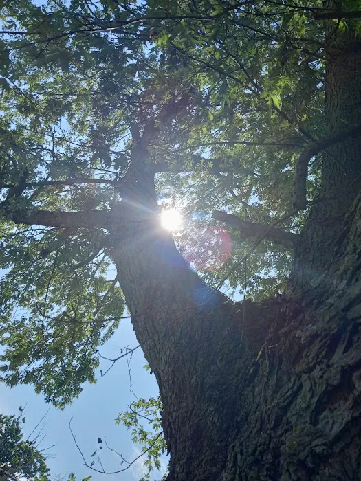 Sawyier Pointe Picture 5