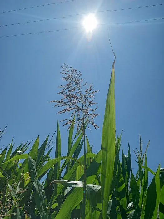 Sawyier Pointe Picture 3