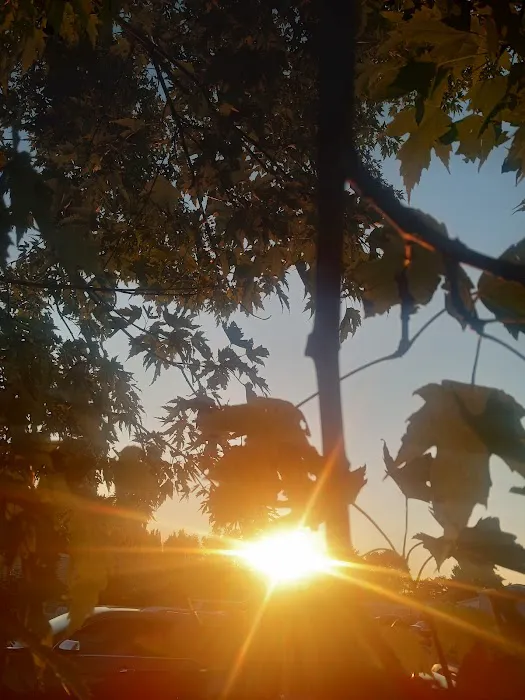 Sawyier Pointe Picture 2