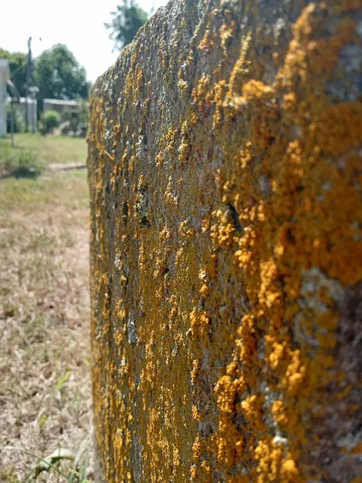 Sawyier Pointe Picture 10