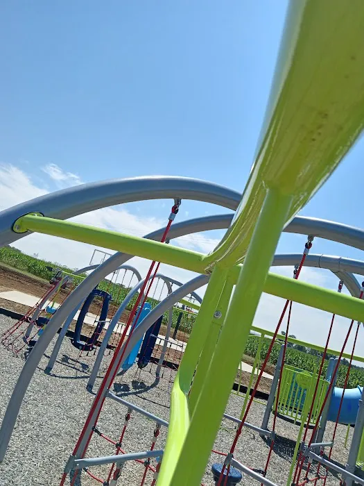 Sawyier Pointe Picture 6