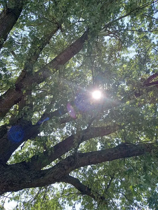 Sawyier Pointe Picture 8