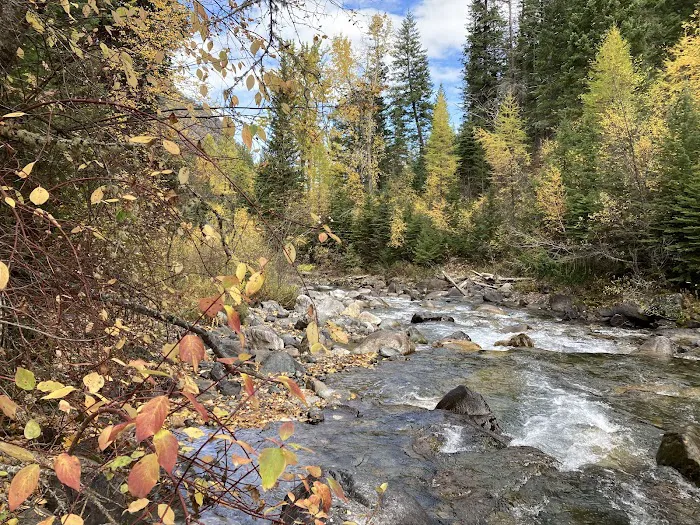 Hurricane creek campground Picture 1