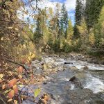 Hurricane creek campground