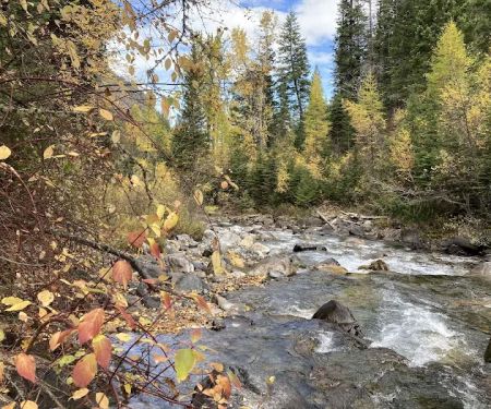 Hurricane creek campground