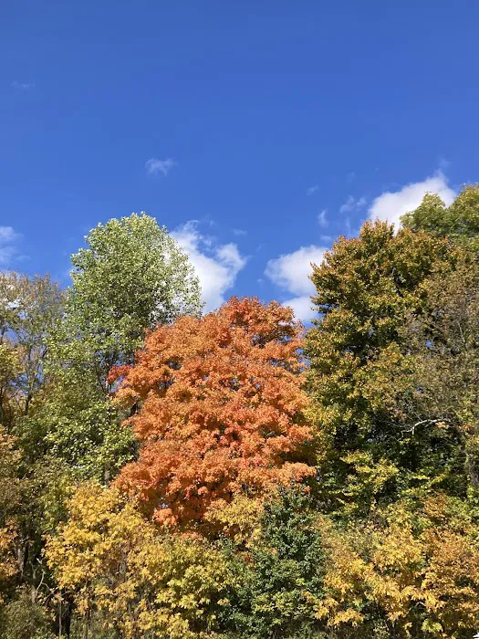 Capital Mobile Home Park Picture 1