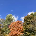 Capital Mobile Home Park