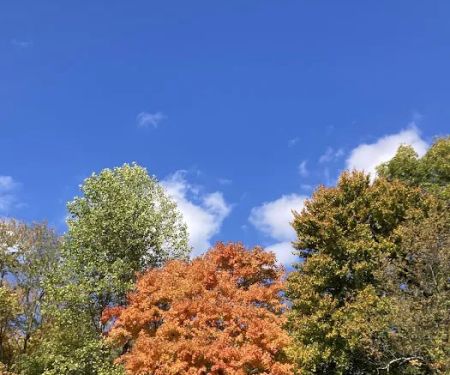 Capital Mobile Home Park