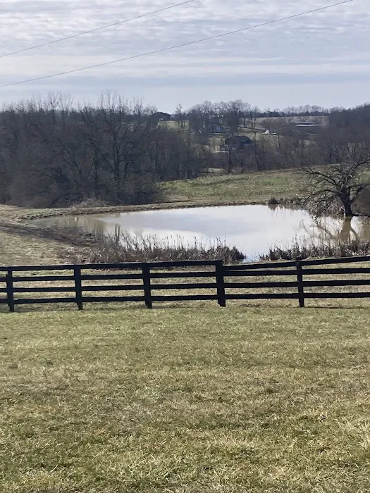 Capital Mobile Home Park Picture 4