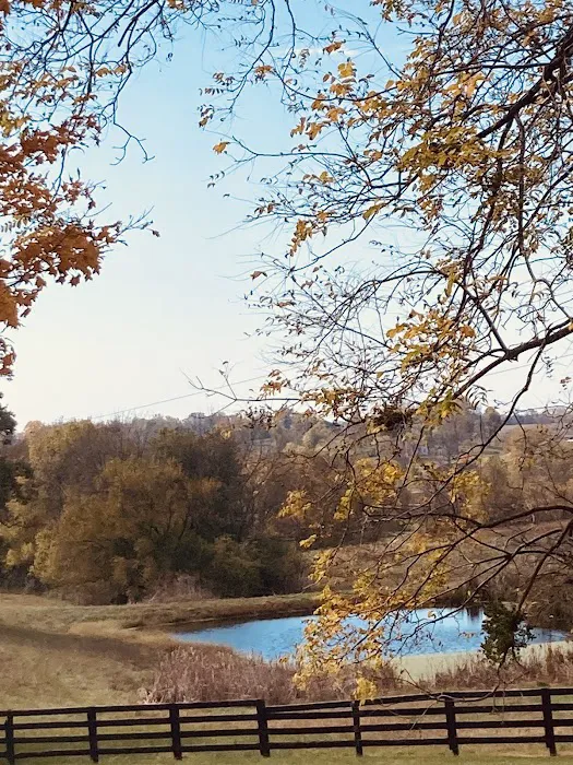 Capital Mobile Home Park Picture 3