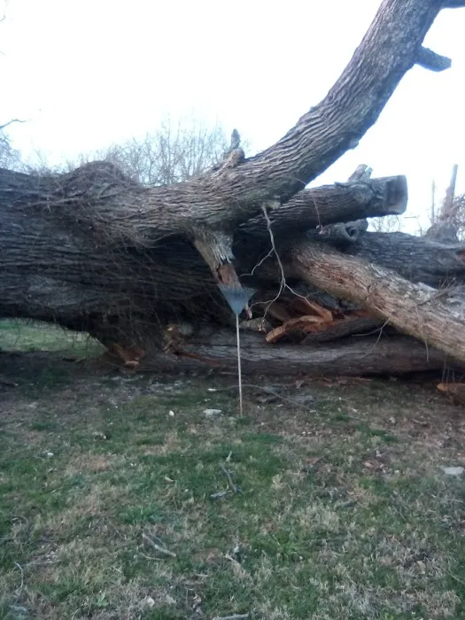 Capital Mobile Home Park Picture 8