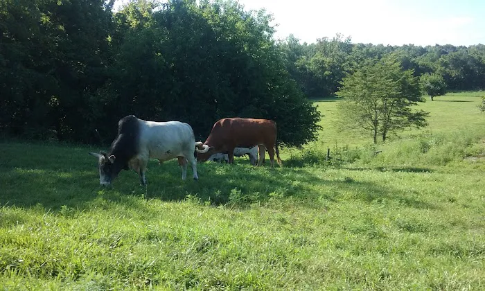 Duckers Mobile Home Park Picture 4