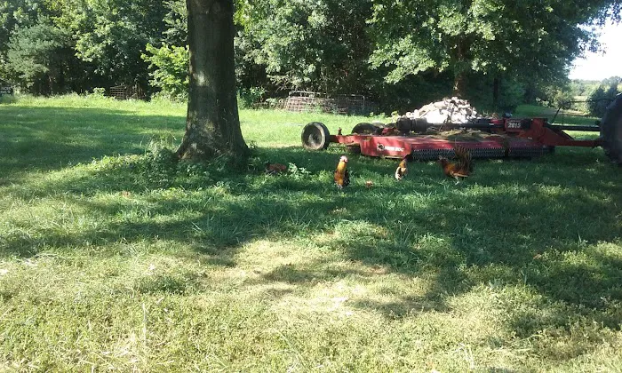 Duckers Mobile Home Park Picture 5