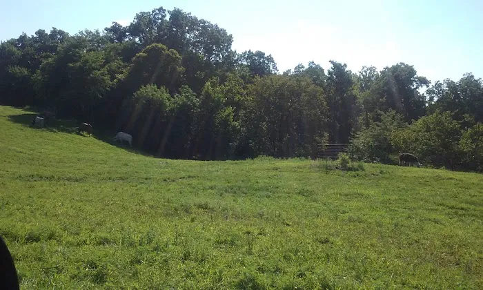 Duckers Mobile Home Park Picture 3