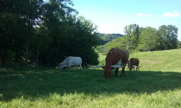 Duckers Mobile Home Park Picture 8