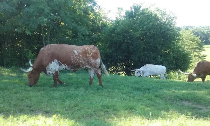 Duckers Mobile Home Park Picture 1