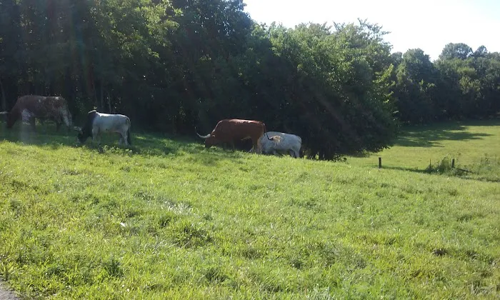 Duckers Mobile Home Park Picture 2