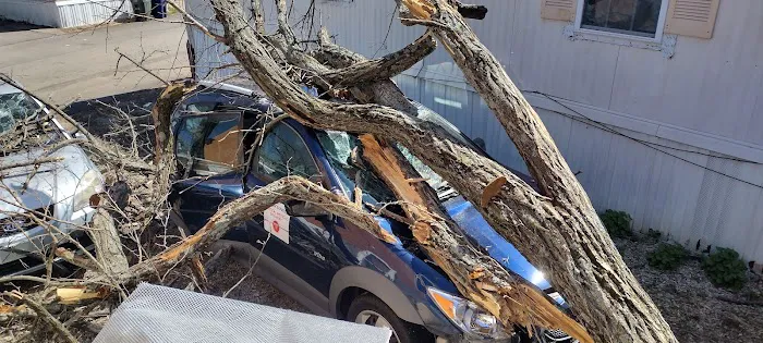 Imperial Estates Picture 3