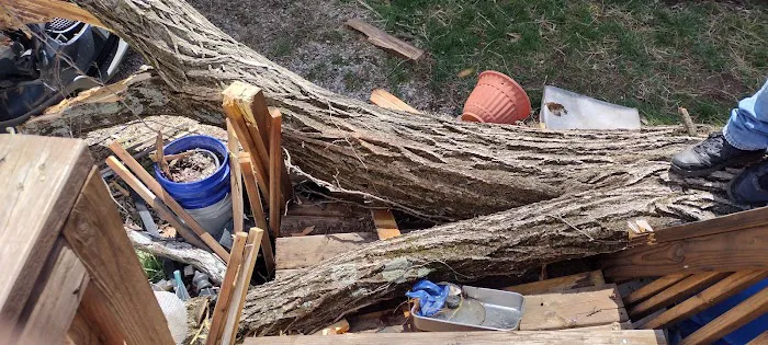 Imperial Estates Picture 2