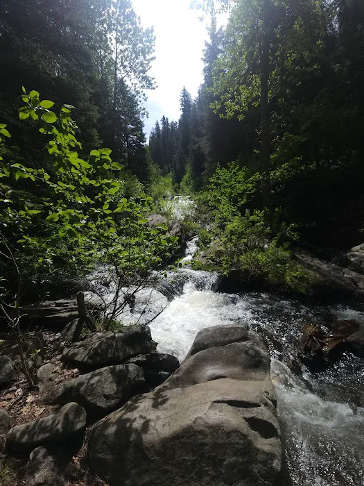 Hollywood Point Campground Picture 3