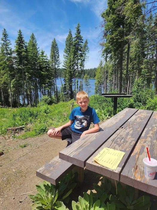 Hollywood Point Campground Picture 4