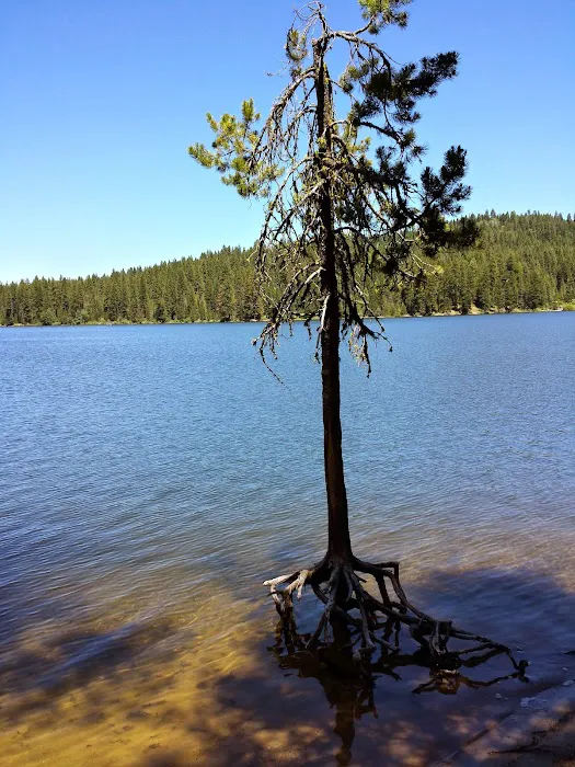 Hollywood Point Campground Picture 7