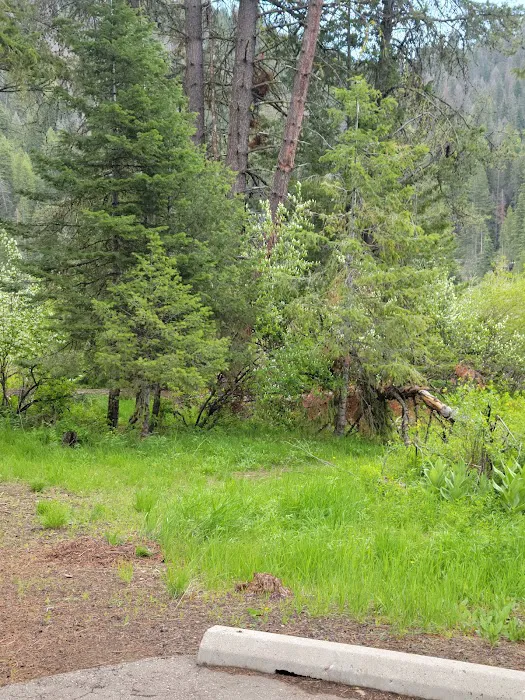 Sage Hen Creek Campground Picture 5