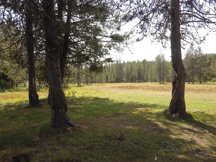 Sage Hen Creek Campground Picture 2