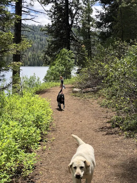 Sage Hen Creek Campground Picture 7
