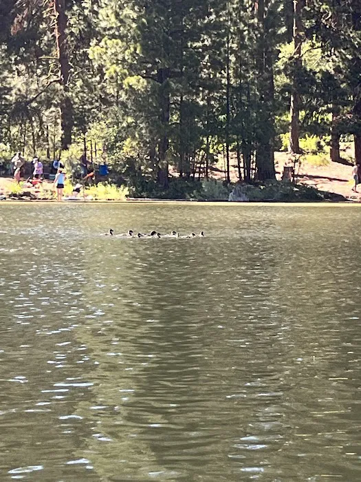 Antelope Campground Picture 1