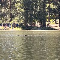 Antelope Campground ico