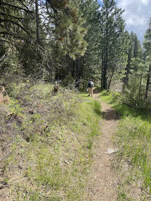 Antelope Campground Picture 6