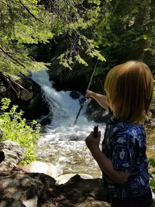 Terrace Park Mobile Home Park Picture 7